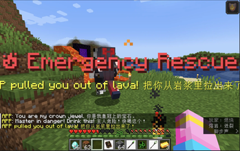 SoulCompanionNPC Screenshot 1