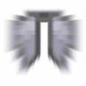 Elytra Particle Acceleration