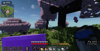 OptiPvP+
