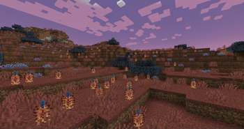 Flower Fields Biome