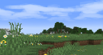 Meadow