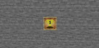 The goal