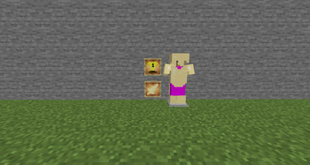 A set of armour in game
