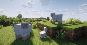 Fresh Animations