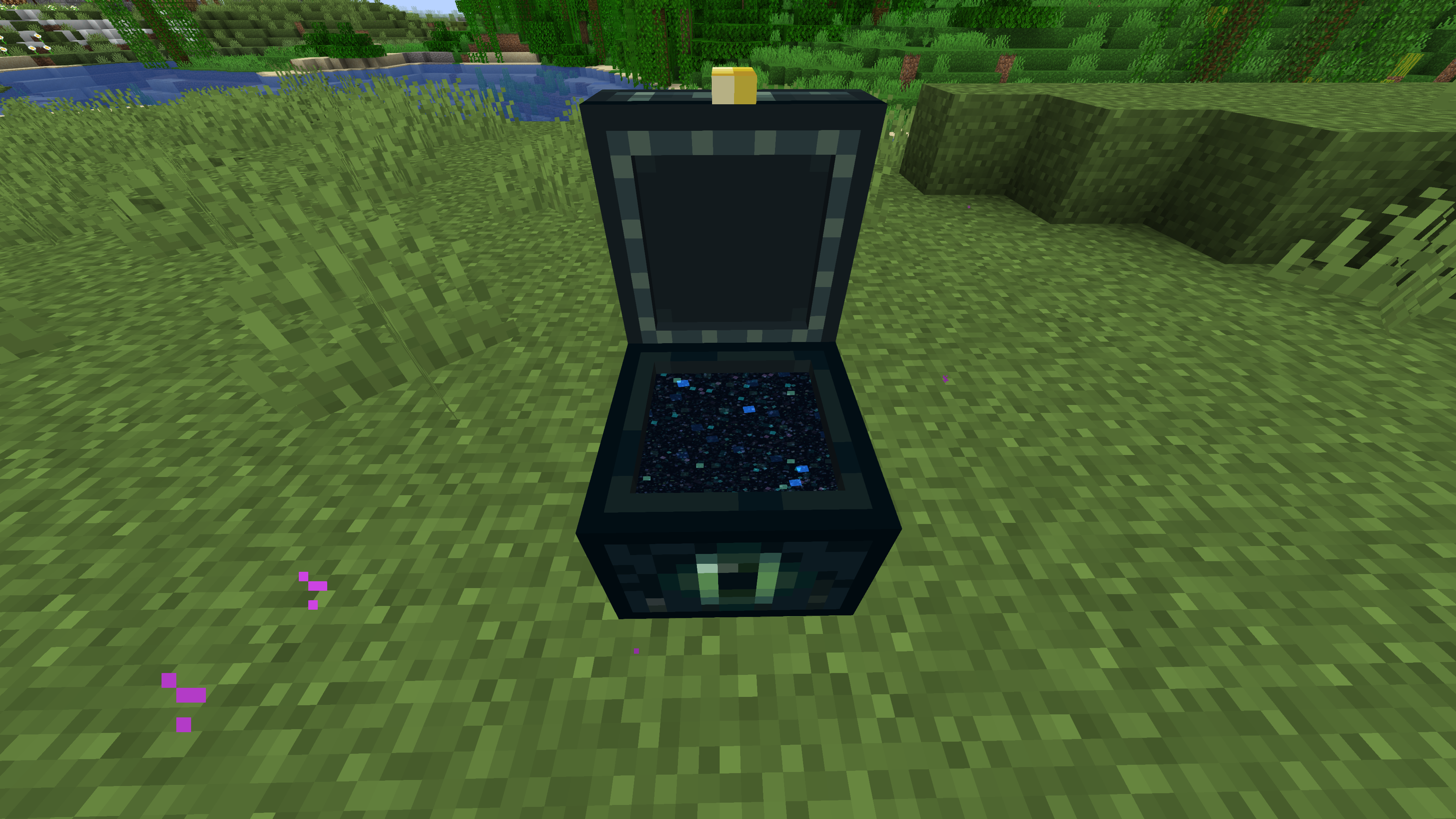 End Portal Ender Chests with Optifine CEM