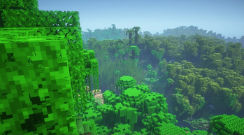 Terrain