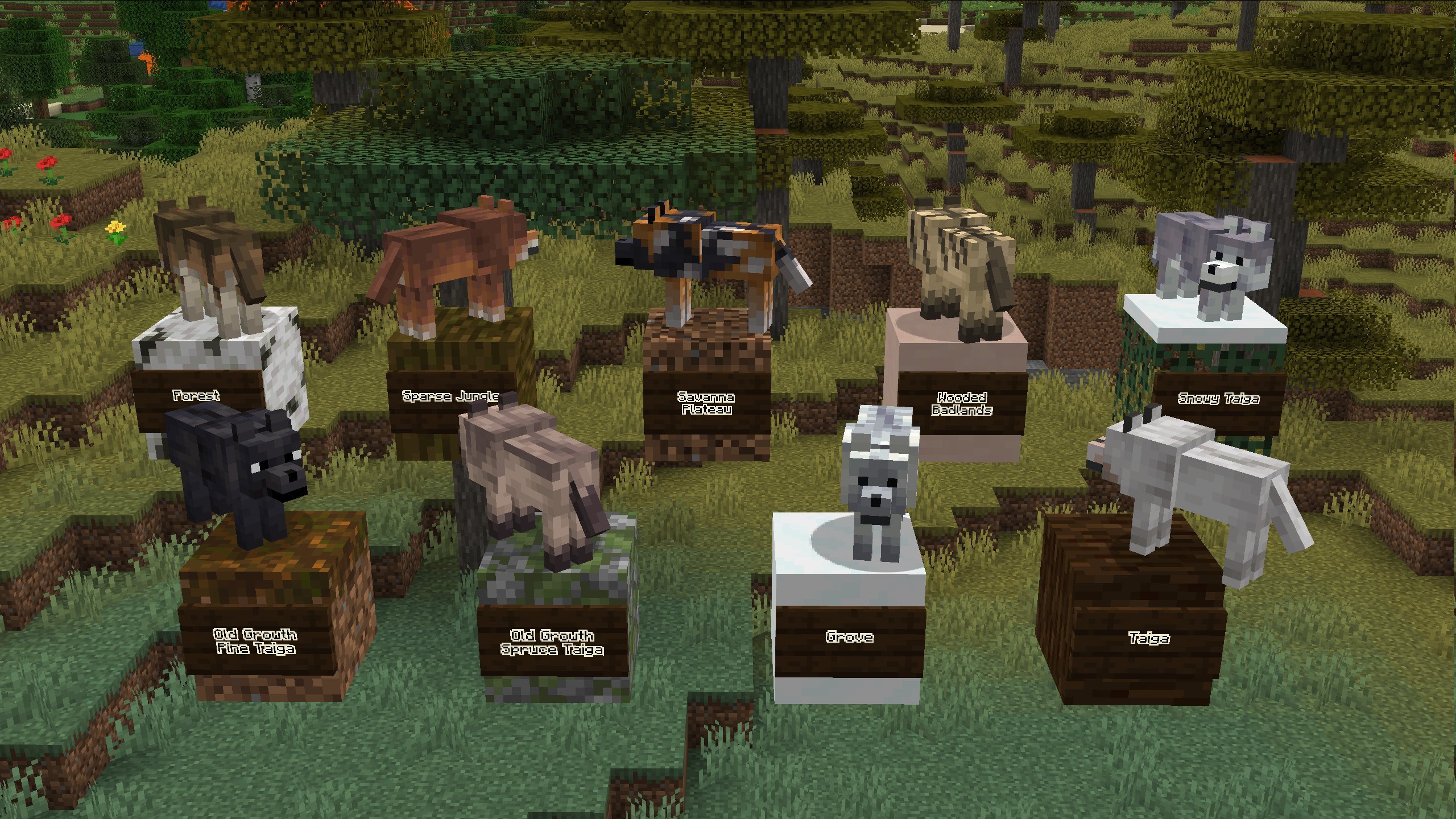 Wolves displayed alongside the biomes they spawn on