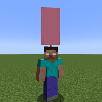 player with a pink banner on their head