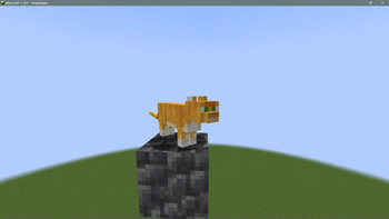 Kitty