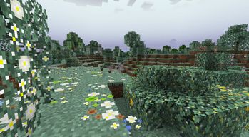 Flower Valley