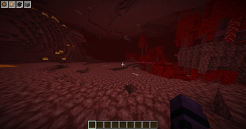 view in game