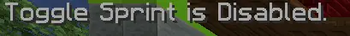 When Toggle Sprint is Disabled