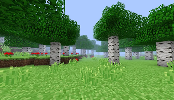 The Birch Forest Haven