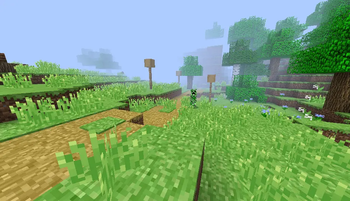 The Long Dirt Road
