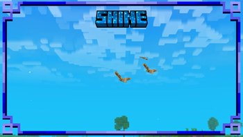 Sky - Birds