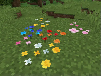 New Wild Flowes!