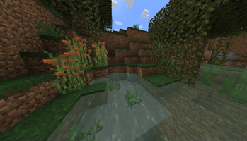 New Cattails for River Decoration!