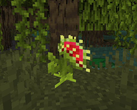 The Venus Fly Trap from the Lush Cave