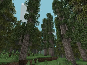 Swampy Forest