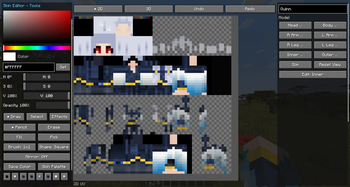 Skin Editor Screen 2D