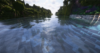 Water