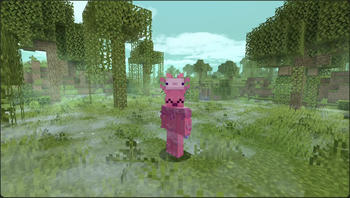The Woods