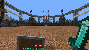 Holding up shield & Diamond Sword