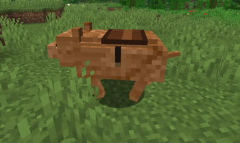 Ride Your Capybara