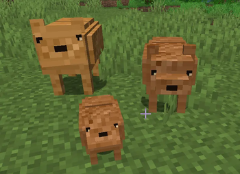 👶 Breed Capybaras