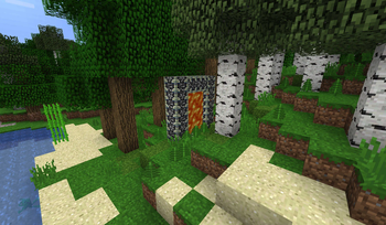 Overworld Portal