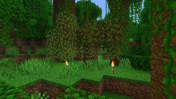 NEW TREE!