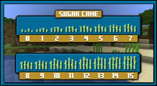 Sugar Cane