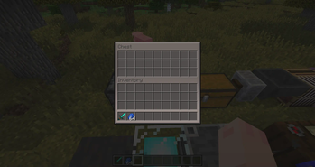 Single Chest
