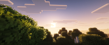 Sun Over The Trees