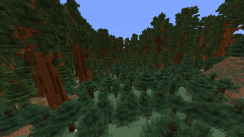 A taiga by a redwood forest