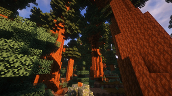 Ground view of a redwood forest (with shaders)