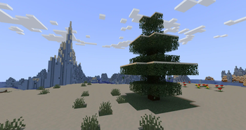 Snowy Tree