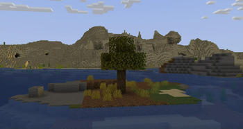 Tree on Island
