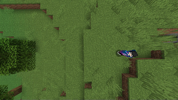 FreeCam