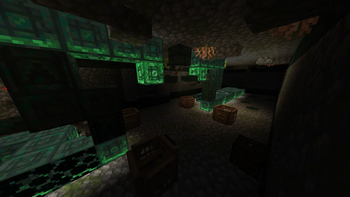 renovated snakes