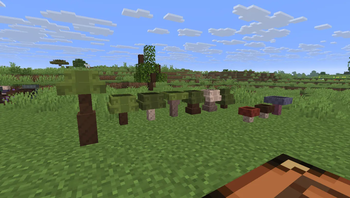 Bunch Of Trees