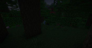 The Angel is Full of Forests