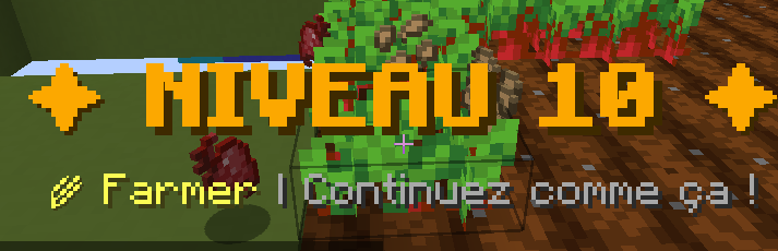 level UP !!!