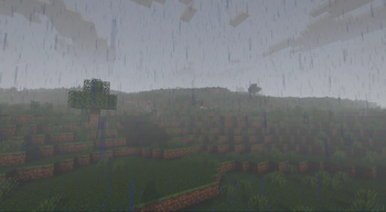 Rainy weather