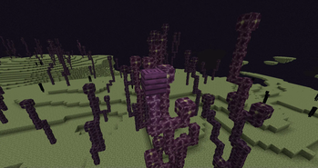 Ender Nest