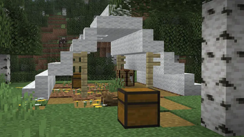 Example Camp