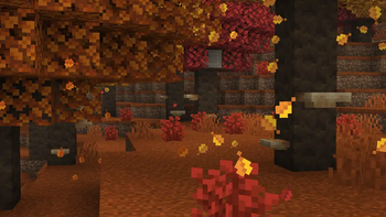 DappledForest 2