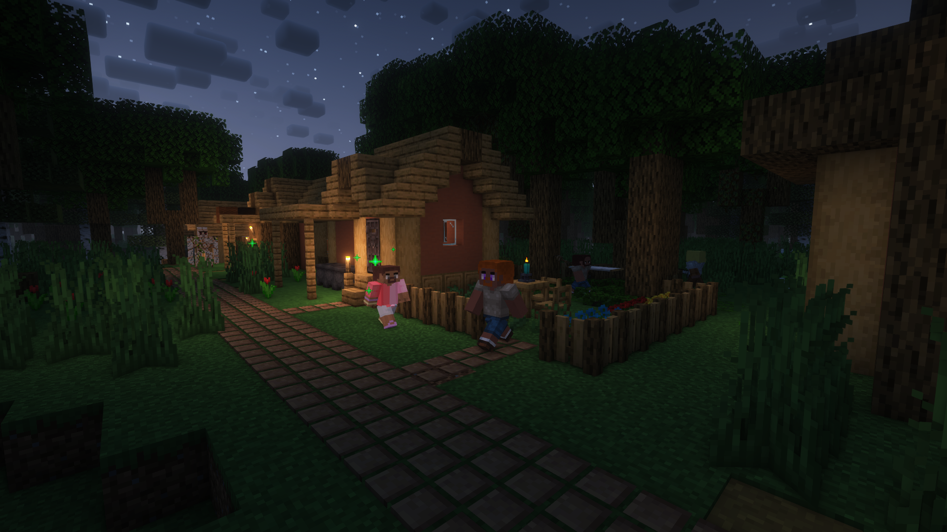 Nighttime village
