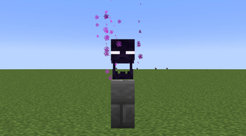 Enderman Head