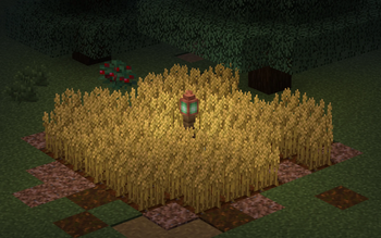 Crop-verhaul: Wheat!!